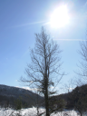 dscn1395.png