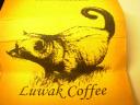 luwak_4.jpg